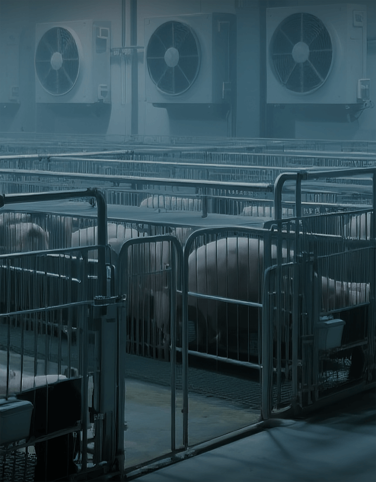 Animal Husbandry
