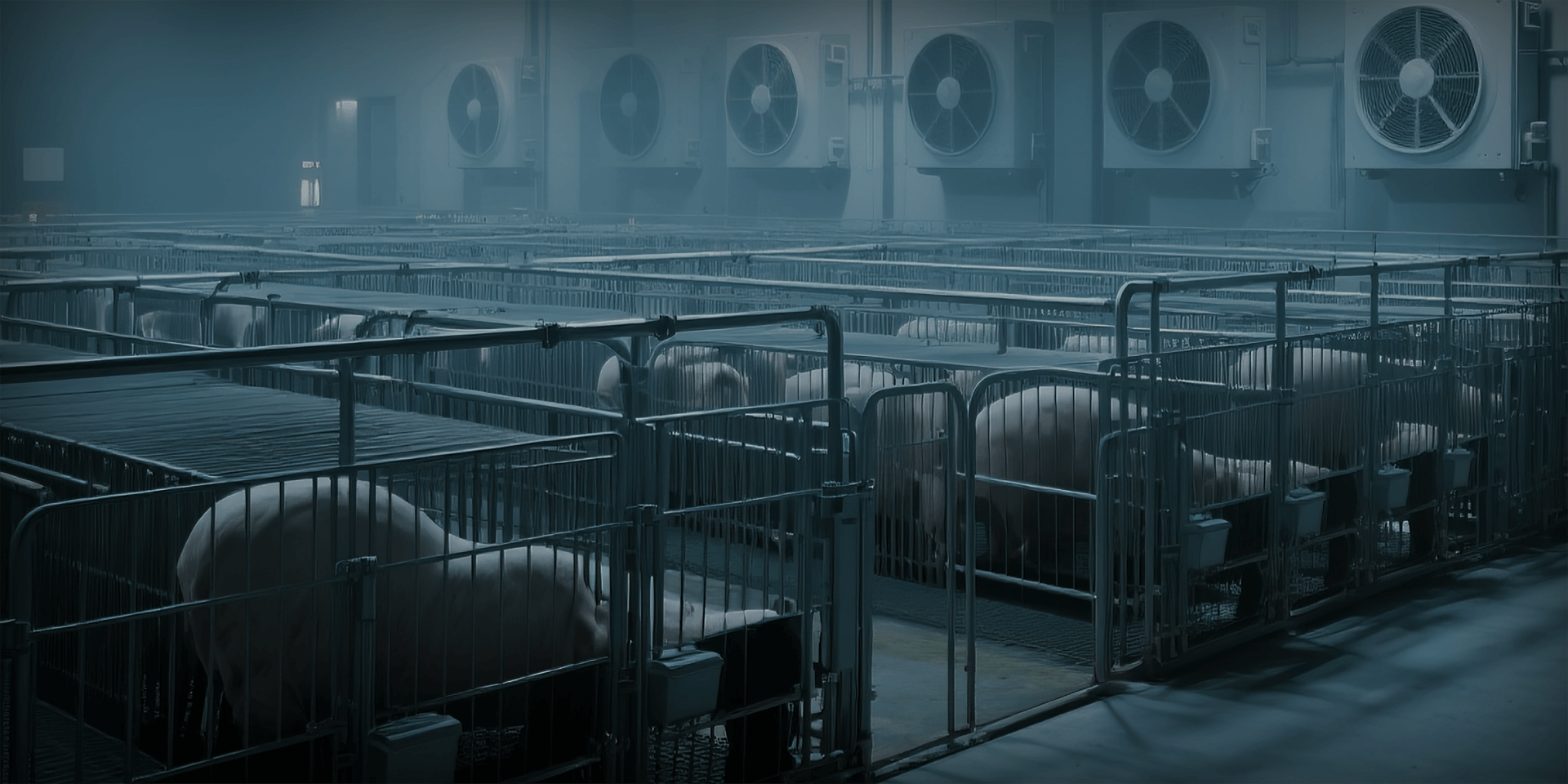 Animal Husbandry